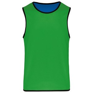 Proact PA046 - Chasuble de rugby réversible enfant Sporty Royal Blue / Green